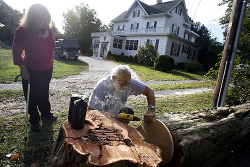 Linda Nicola, owner of Colonial Manor Inn in Onancock, watches as beekeeper Paul Young seals a beehive inside of a cedar log Wednesday. Young transported the bees to his farm after tree removal workers found thousands of bees inside the dead tree.